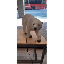 LAMPADA ORSO POLARE