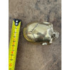 FUSIONE ORIENTALE, TESCHIO IN METALLO DORATO