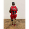 SCOTTIE PIPPEN  CON COPPA, ACTION FIGURE, scala 1:6