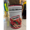 LA MARCA DELLE MARCHE