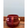 TAZZA TAZ